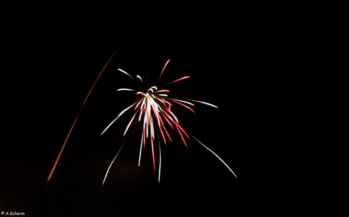Silvester 12/13