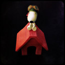 ein Freund auf einem Dach