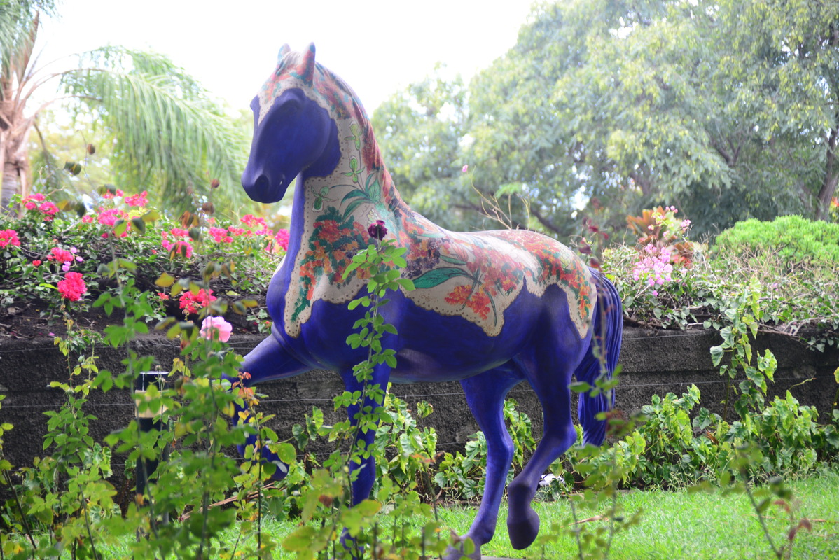 Pferd im Botanischen Garten.