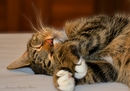 Relax