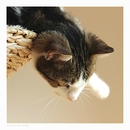 Mal ein wenig abhängen...