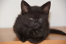 Unsere kleine Miri.....