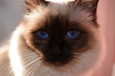 Meine Winny