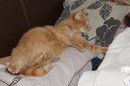 noch eine kurze Katzenwäsche....