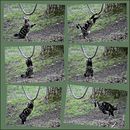 Oskar und die Schaukel