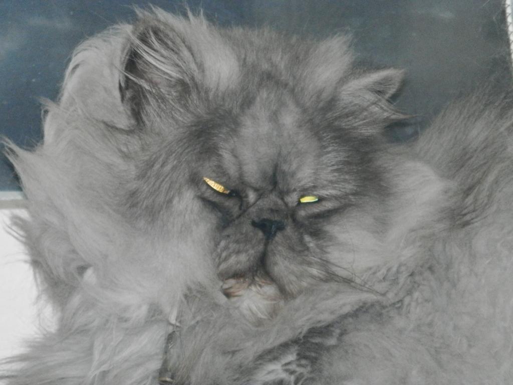 Der Mysthische Blick