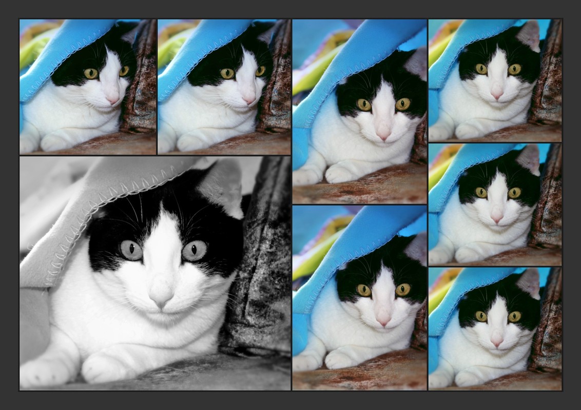 HALLO ;HIER BIN ICH