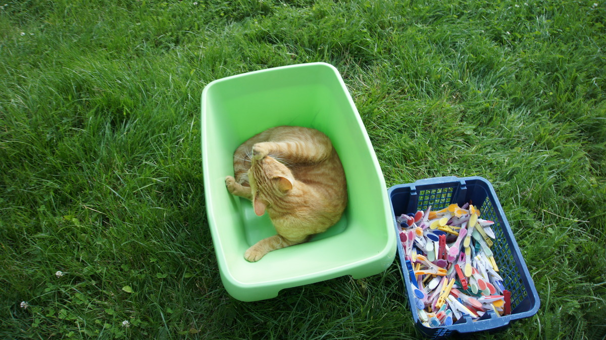 zum Trocknen aufhängen.....