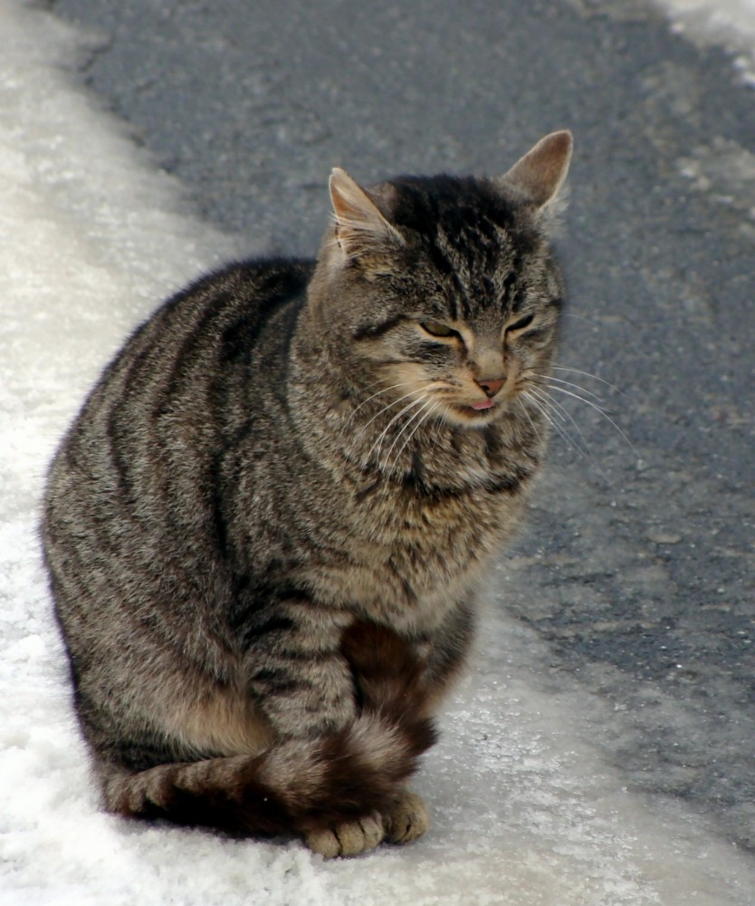 Teil 3 nun ist sie traurig weil ich gehen mußte