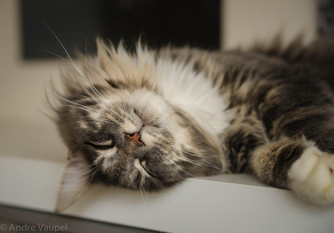 Total Relaxing