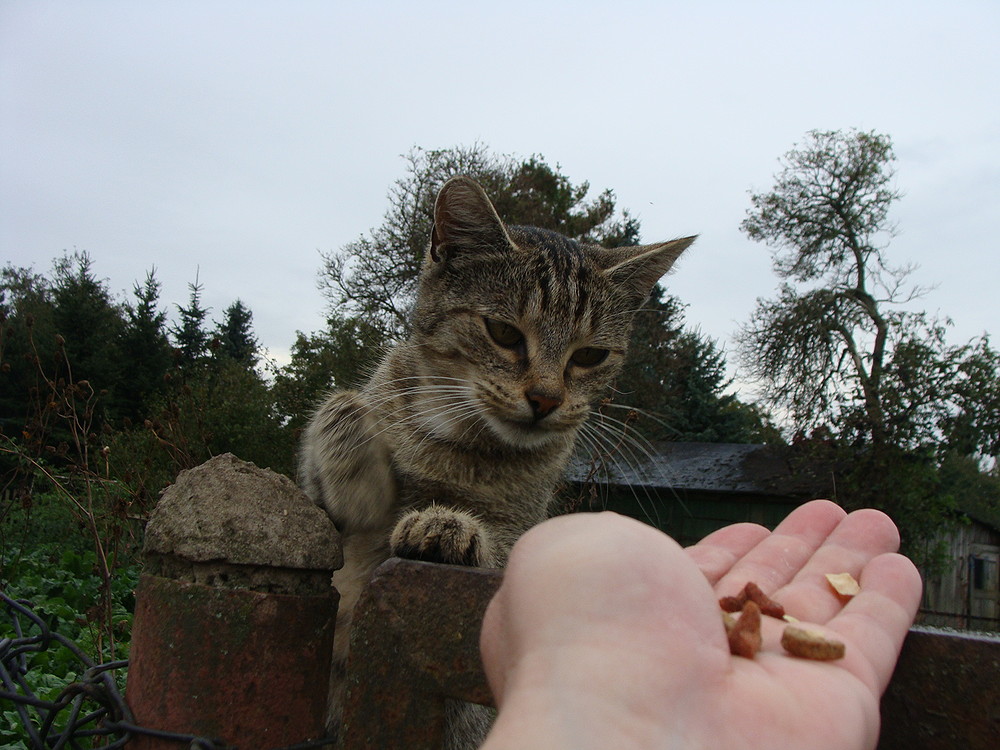 Meine Freundin Emilia