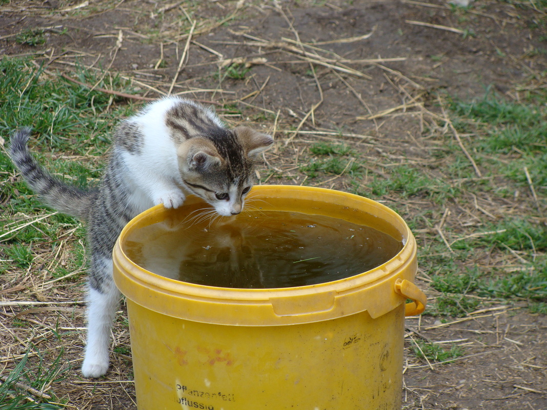 ups wer ist denn da drin :))