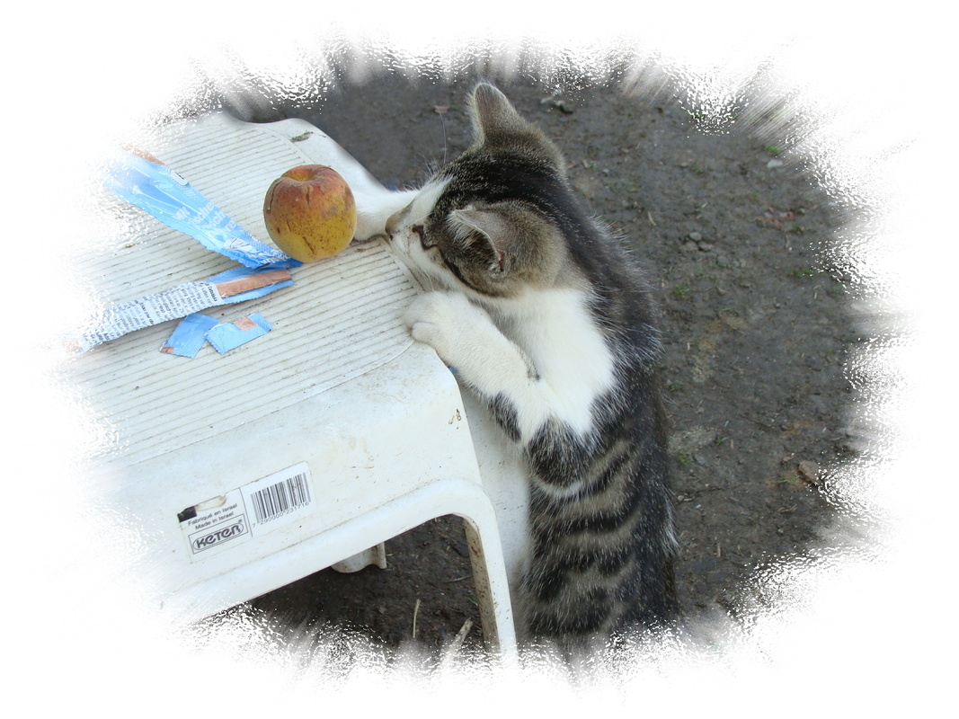 ob ich den wohl bekomme : )))