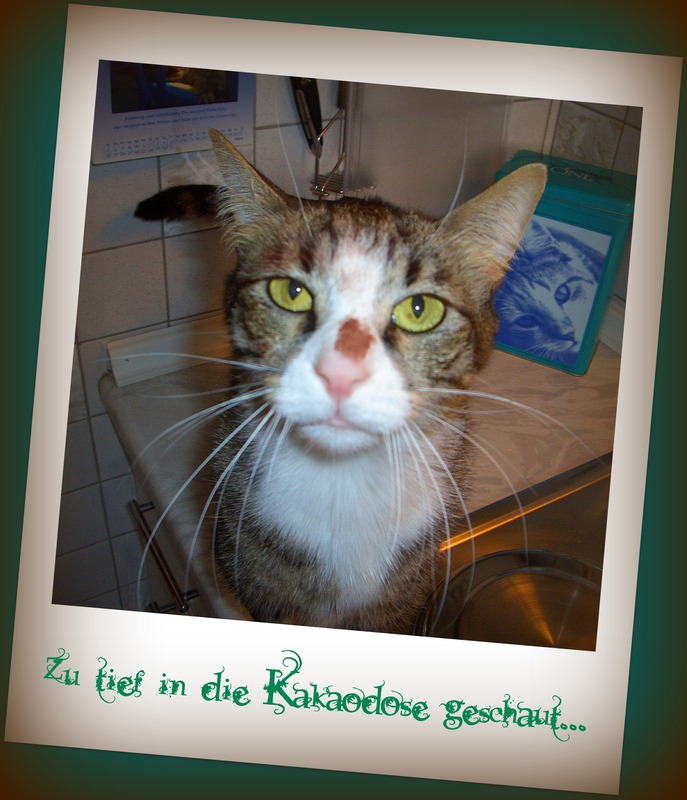 Oh Schreck ein Fleck