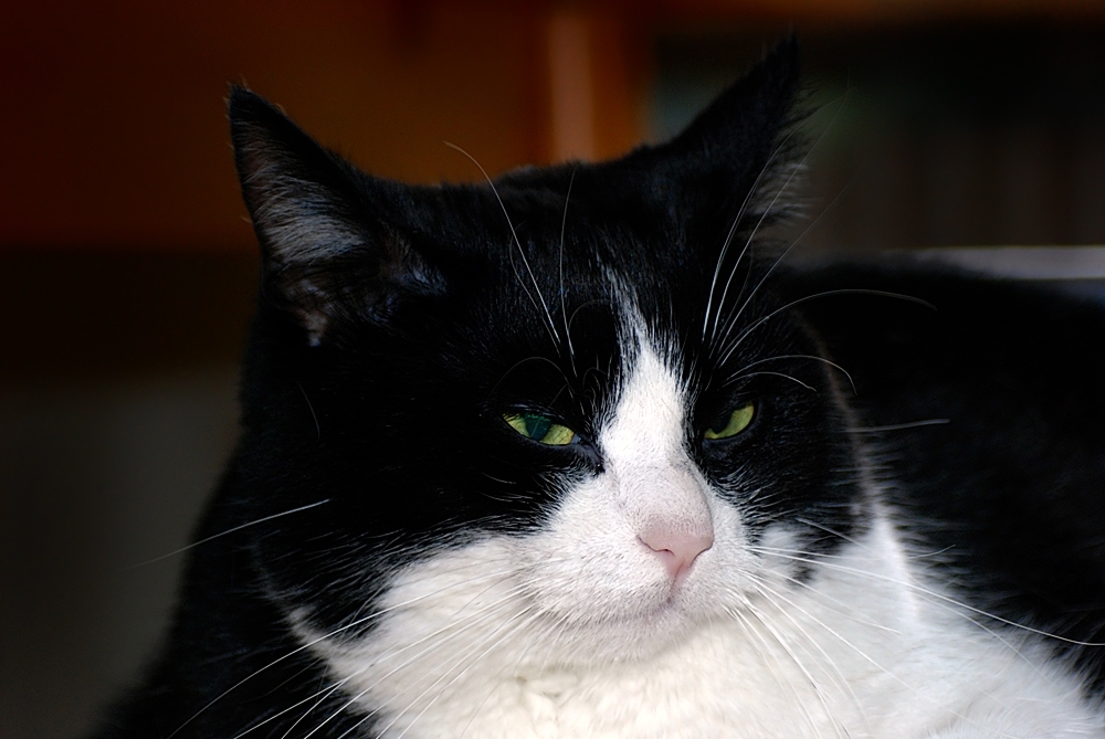 look into my eyes