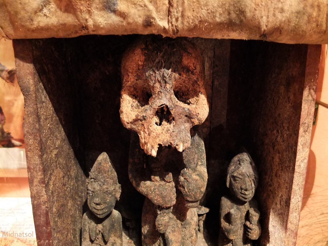 Der Schädel der Amazone