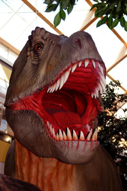 T-Rex in Ulm 