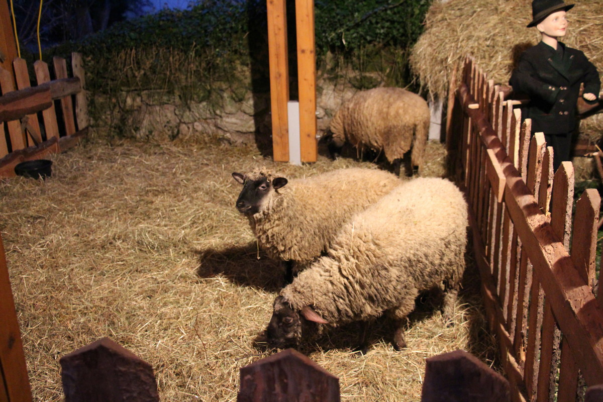 Adventmarkt in Purgstall an der Erlauf