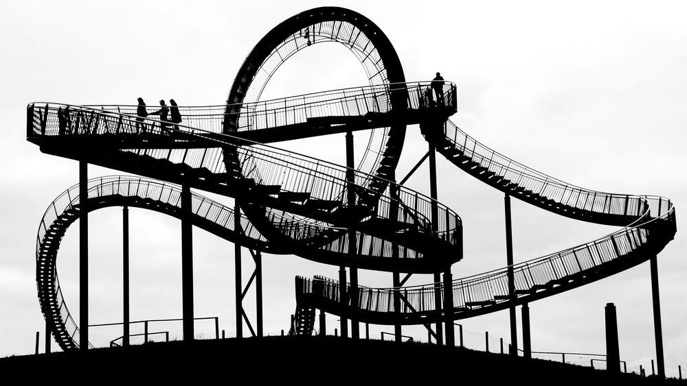 tiger and turtle