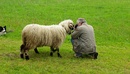 BEI DER ARBEIT ??????