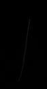 ISS 2