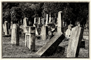 alter jüdischer Friedhof in Wien