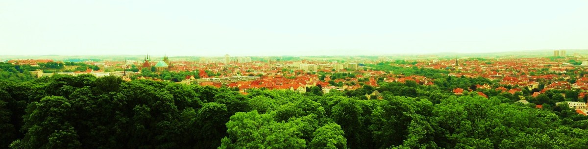 über den Dächern von Erfurth