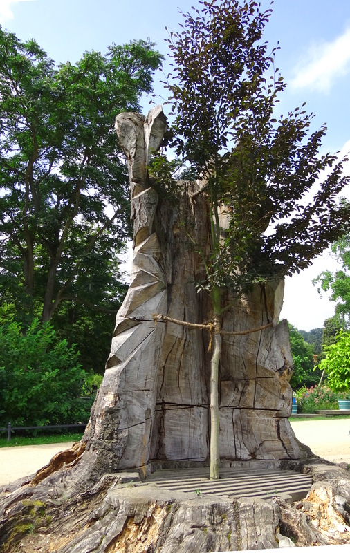vorn und hinten