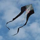 Drachenzeit in Düsseldorf-Oberkassel 1