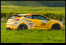 Rally Alsace 2013