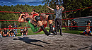 Wrestling-II