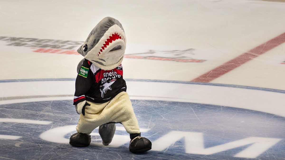 Sharky