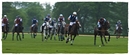Fotos_Tiersportarten