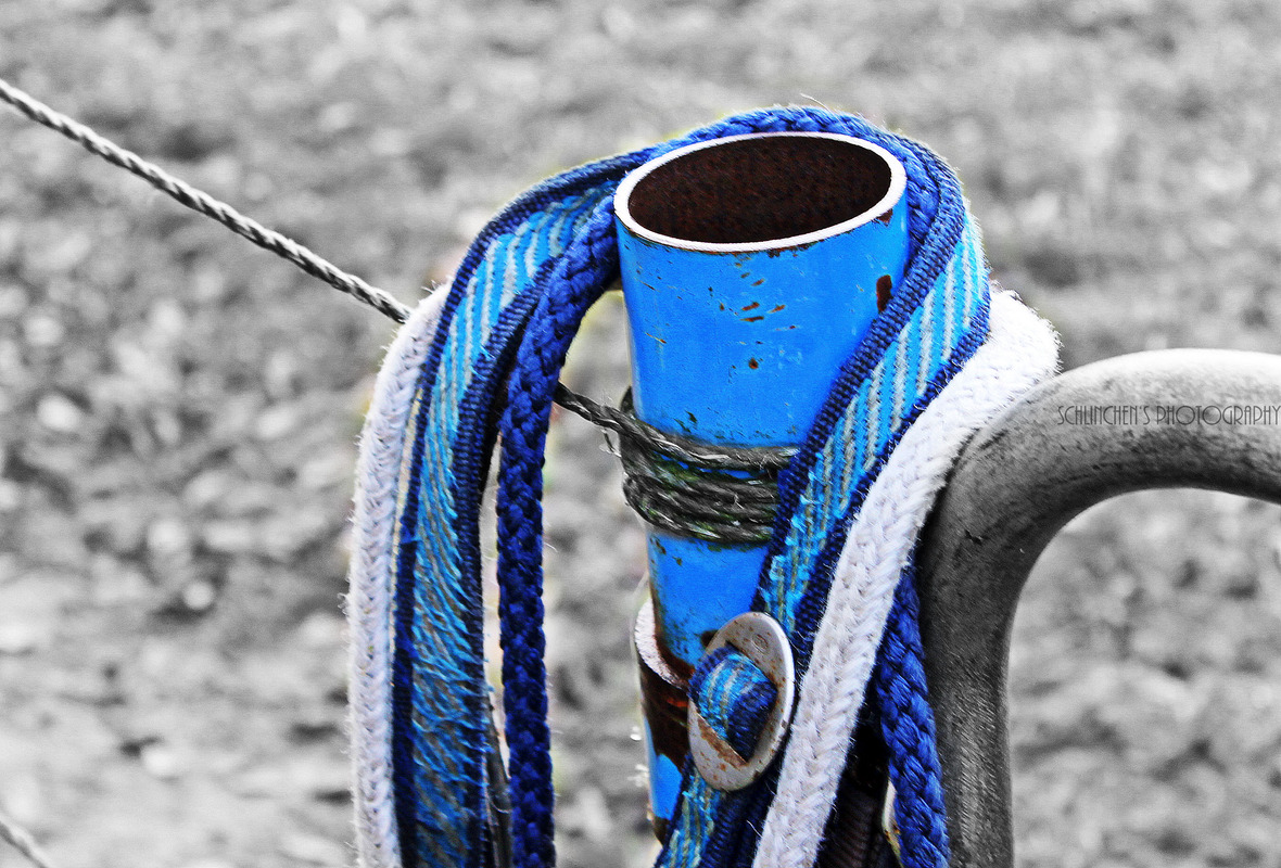 An einer vernebelten Wiese....