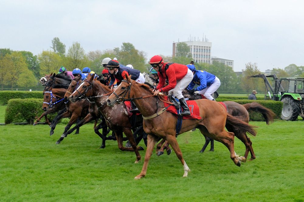 Jets laufense wieder