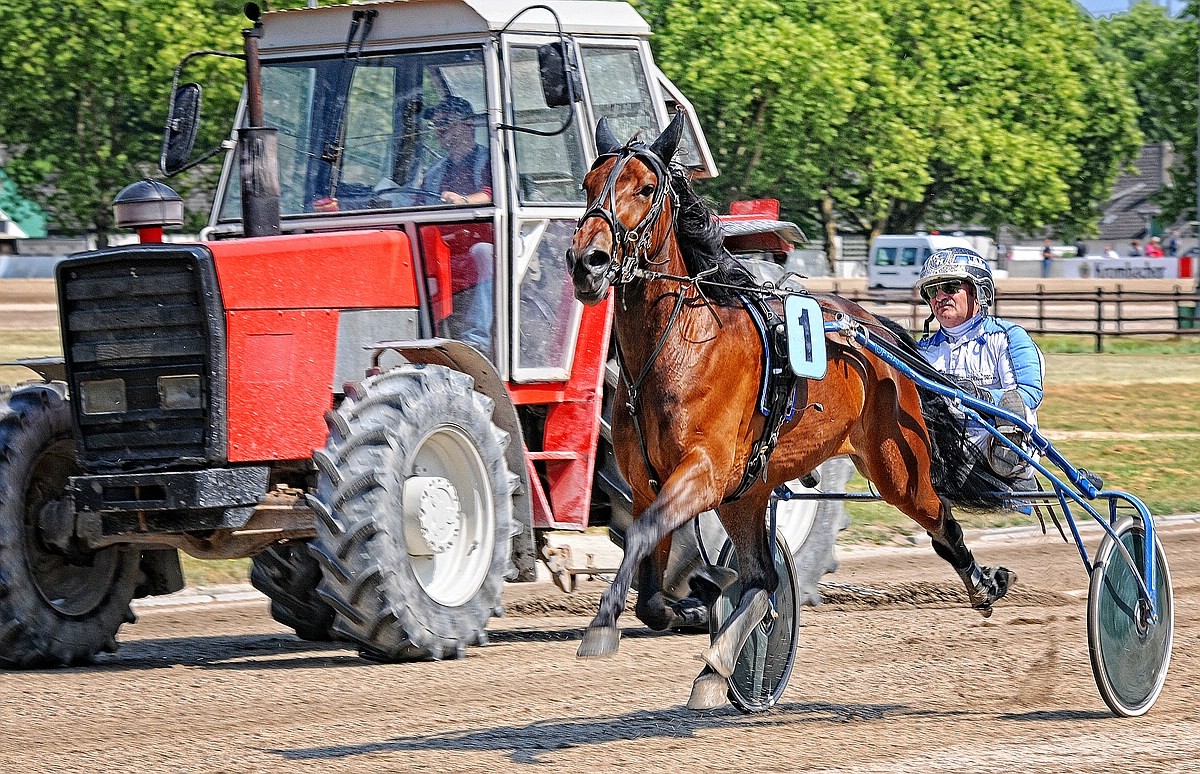 Trabrennbahn Gelsenkirchen - Überholmanöver