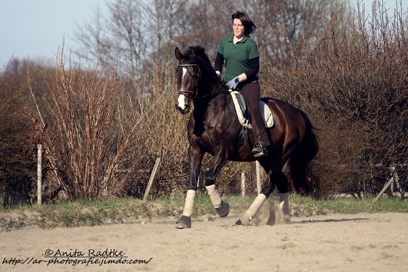 Reiten macht Spaß :-)