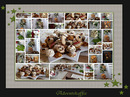 Fotos_Arrangiertes