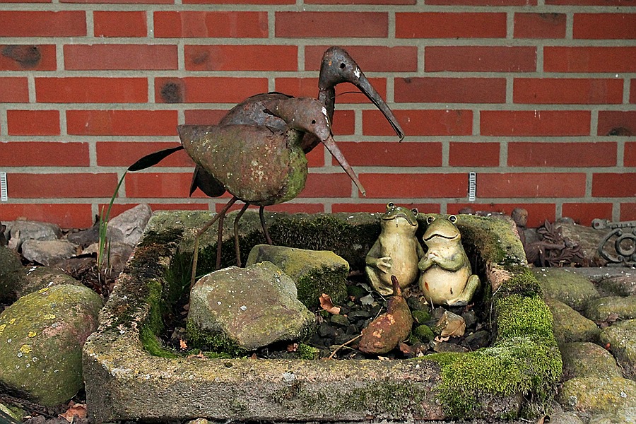 Vögel