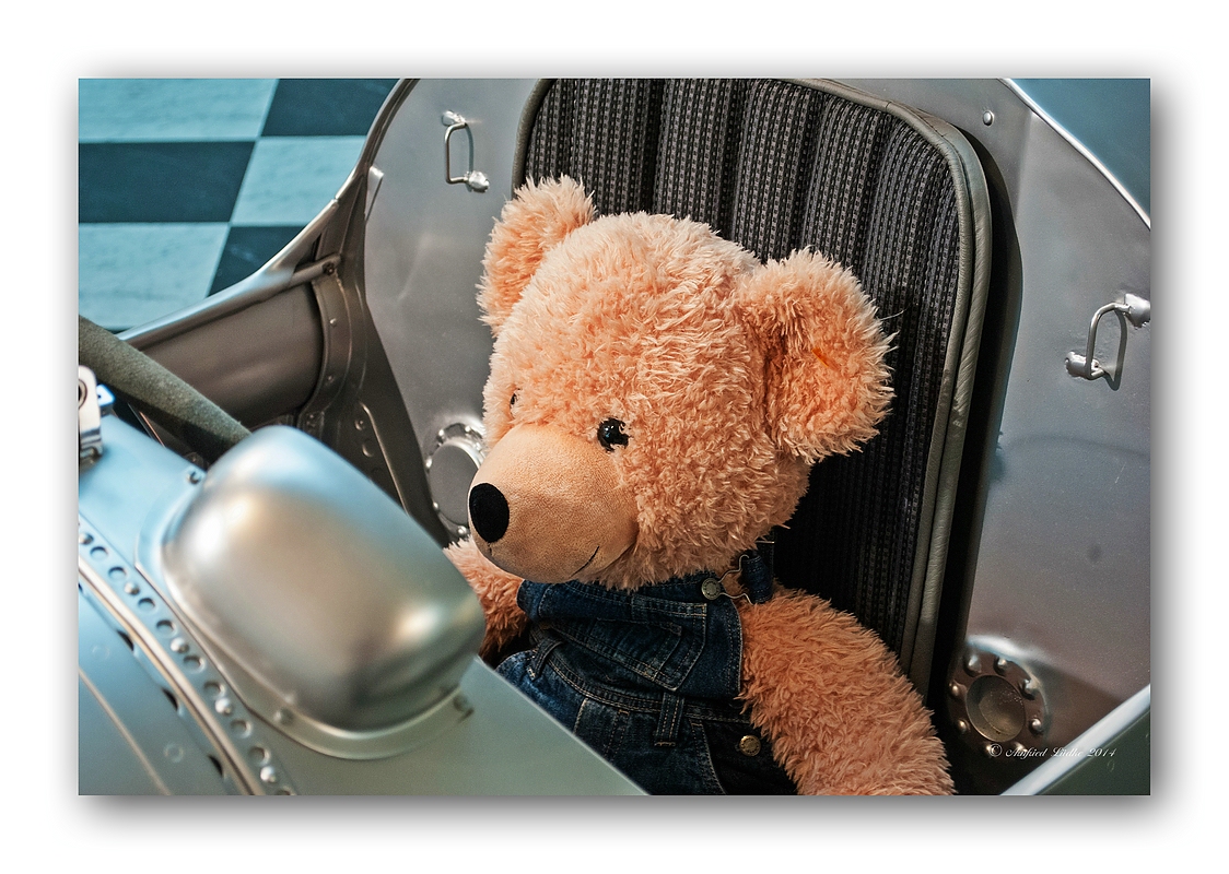 Fynn - Im Silberpfeil