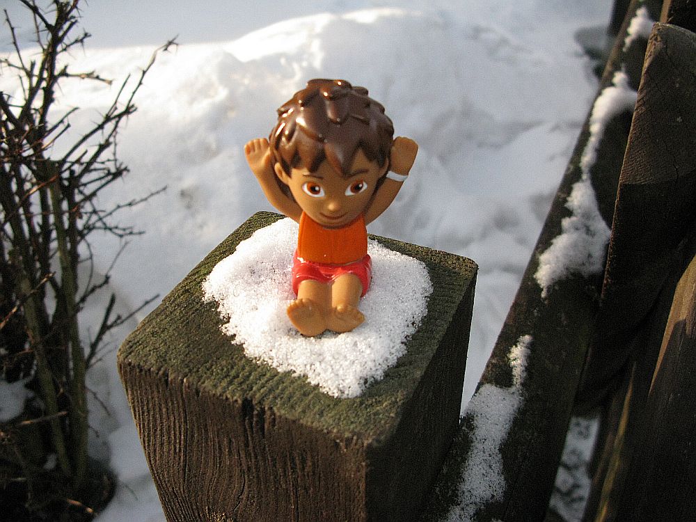 Wer hat mich in dieser Kälte ausgesetzt?