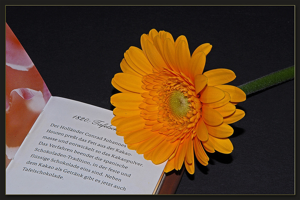 ein schönes Wochenende