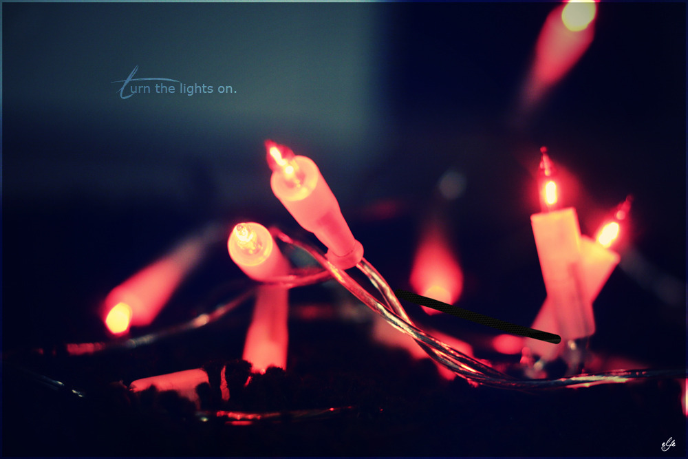 turn the lights on.