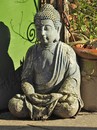 Buddha im Garten