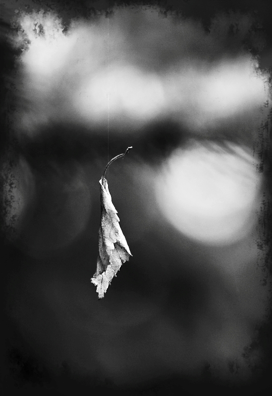 Am Ende des seidenen Fadens