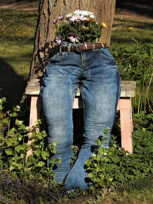 Jeanskultur