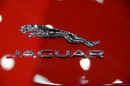 Schriftzug "Jaguar"