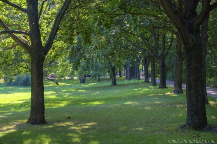 Nordpark in Erfurt