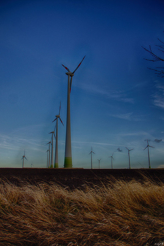 Ein paar Windräder_3