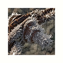 Fotos_Sicherheitstechnik